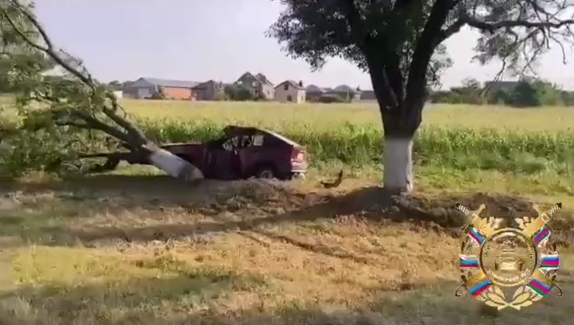 В Армавире водитель иномарки погиб, врезавшись в дерево